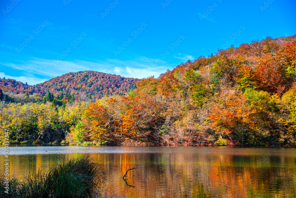 Autumn landscape 