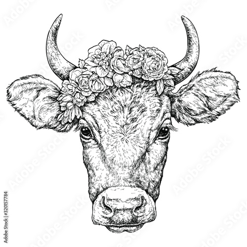 Hand drawn portrait of cute Cow with a wreath on head. Vector illustration isolated on white