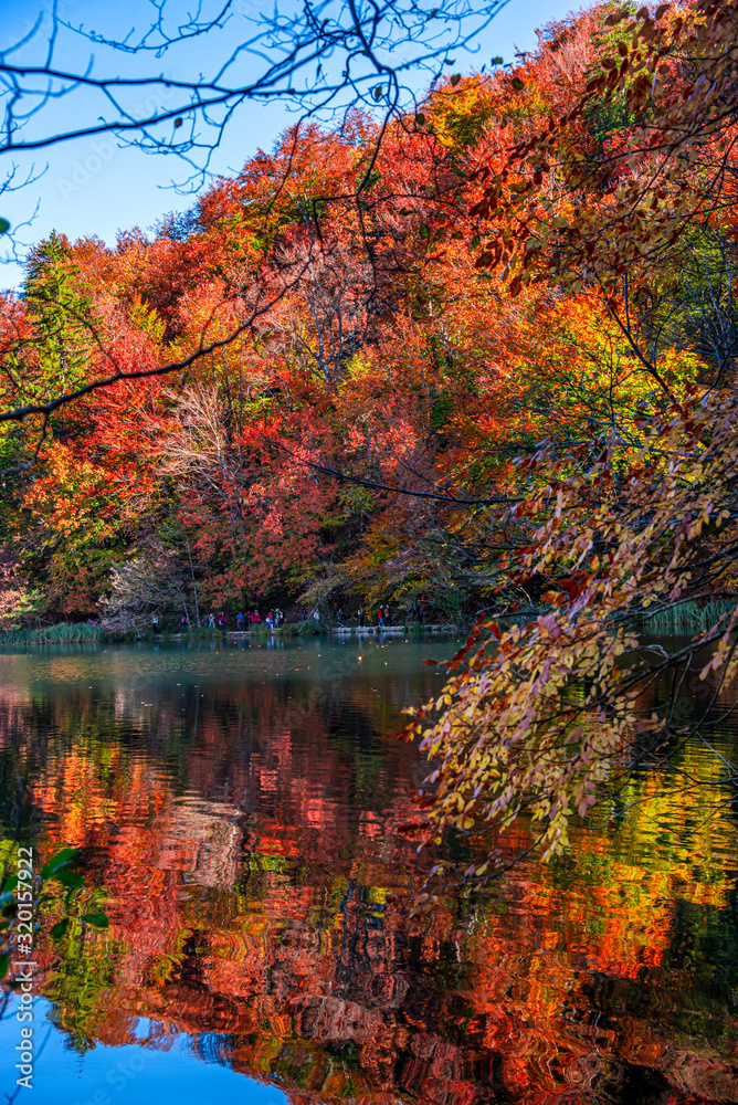 Autumn landscape 