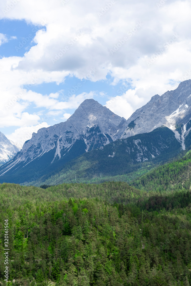 View to the Zugspitze with a forest in the foreground