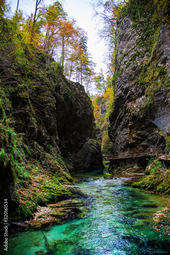 Inside of the Vintgar gorge , Slovenia