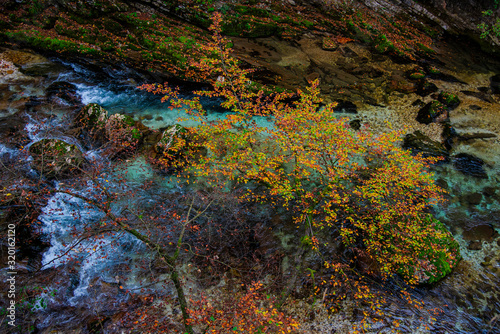 Inside of the Vintgar gorge , Slovenia © Ivanica