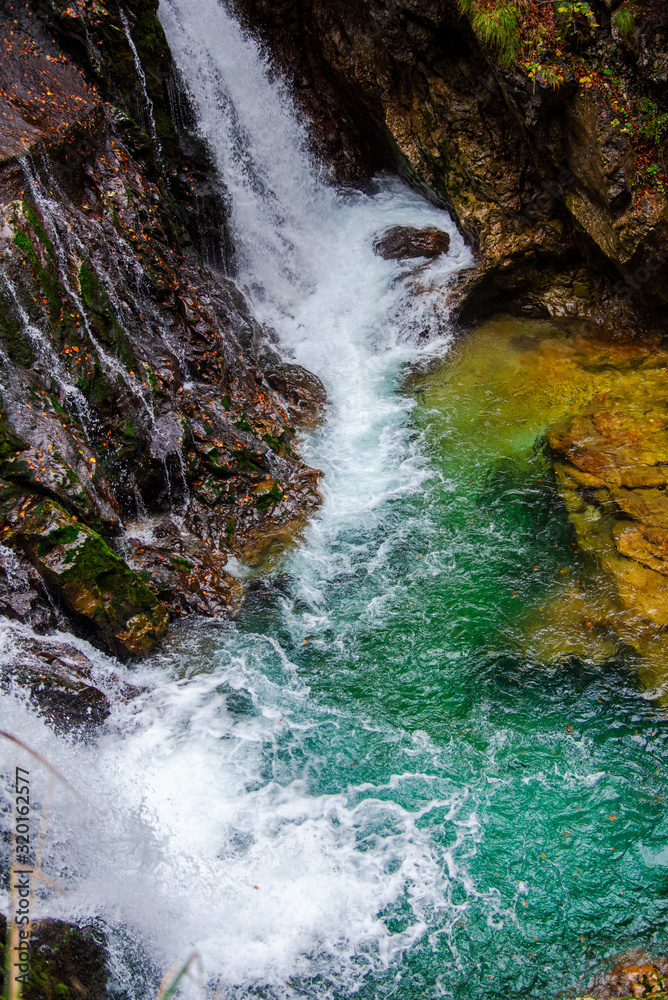 Naklejka premium Autumn landscape in Vintgar gorge river, Slovenia