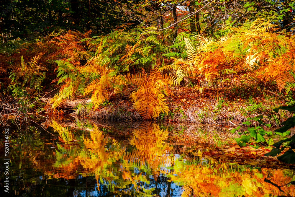 Autumn landscape in Plitvice Natural Park Autumn landscape in Plitvice Natural Park