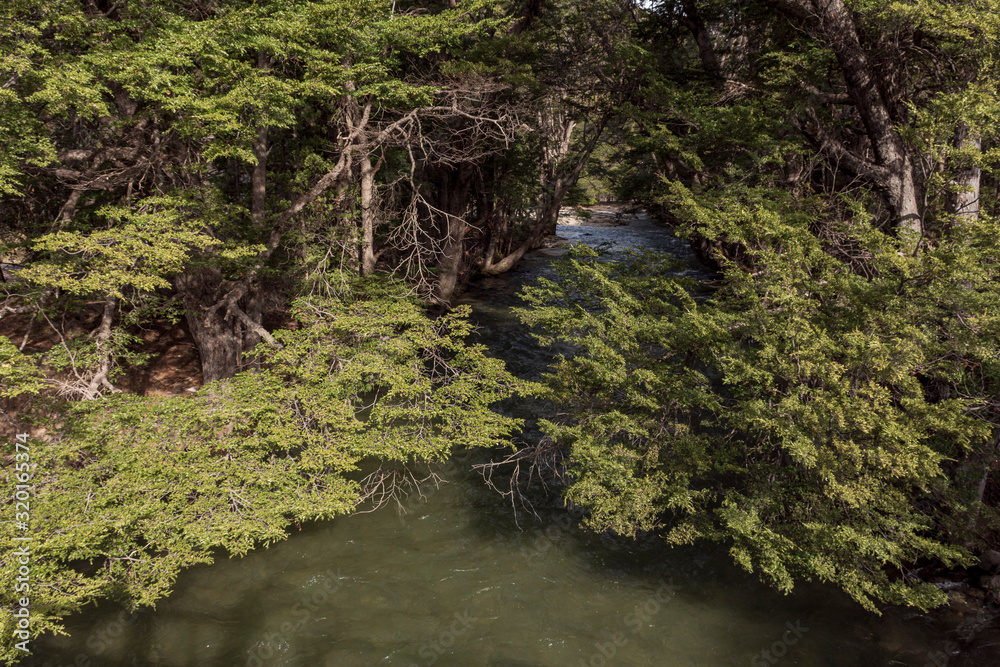 Scene view of nature and river in the forest in Los Alerces National Park, Patagonia, Argentina Scene view of nature and river in the forest in Los Alerces National Park, Patagonia, Argentina