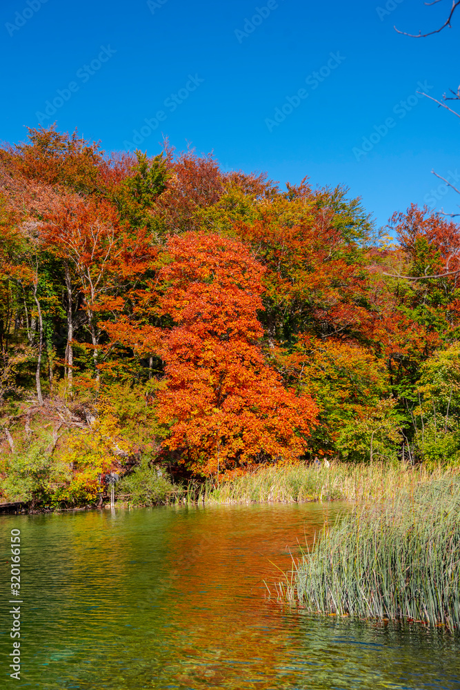 Autumn landscape in Plitvice , croatia Autumn landscape in Plitvice , croatia