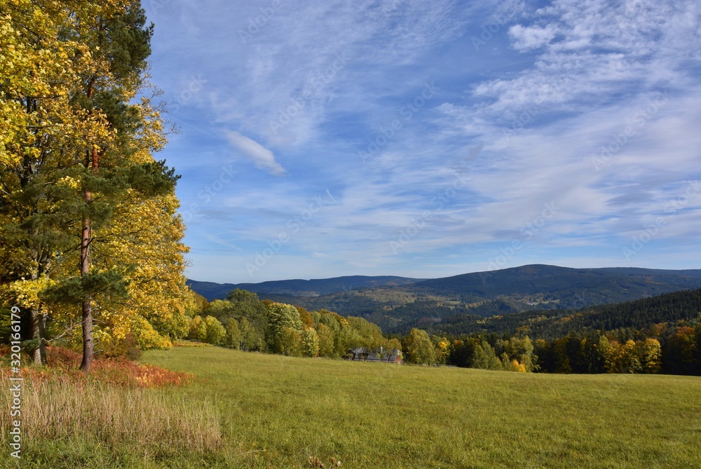 Autumn in national park Sumava - Czech republic
