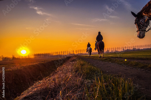 Passeggiata a cavallo attraverso le campagne del Parco del Ticino su una strada sterrata che conduce verso un bellissimo tramonto autunnale arancione e blu photo