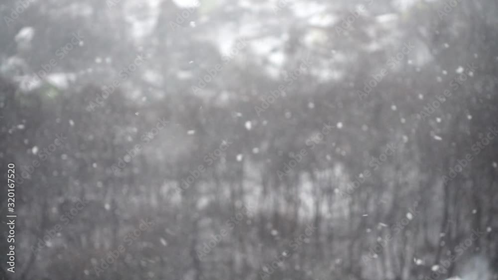 Shooting falling snow in winter. Shooting falling snow in winter.