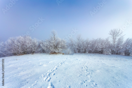 Beautiful winter landscape on the hills, footprints in the snow and rime covered trees © bdavid32