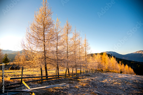 Morning winter landscape