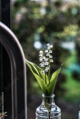 White Flowers by the Window