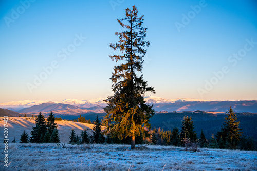 Morning winter landscape
