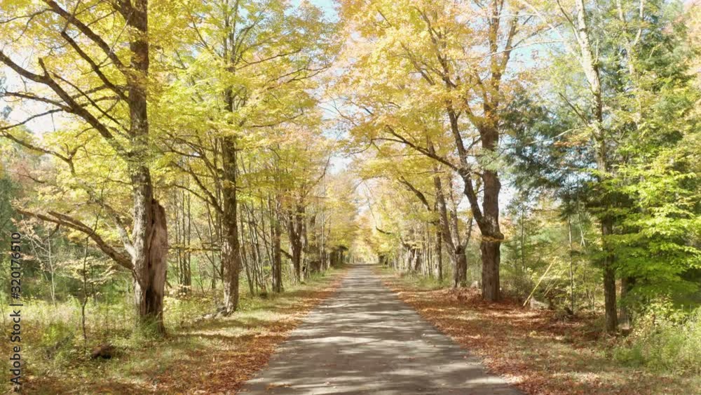 Desolate country road has leaves falling in autumn season New York Desolate country road has leaves falling in autumn season New York