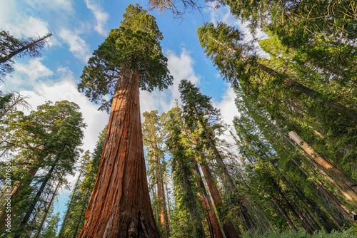 Sequoia National Park in Autumn