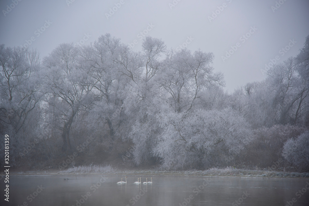 Winter wonderland Winter wonderland