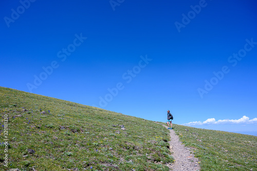 Woman hikes on trail through summer meadow
