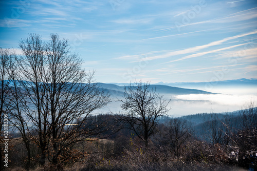 Morning fog on the winter