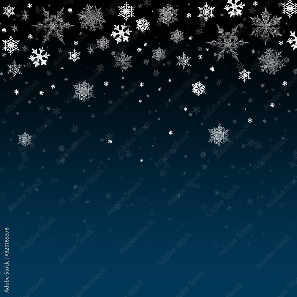 Blue Winter Background with snowflakes for your own creations Blue Winter Background with snowflakes for your own creations
