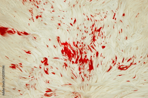 A piece of wool skin with red blood stains. Blood stains on wool skin. Blood stains on the back of wool skin.Bloodstained wool.