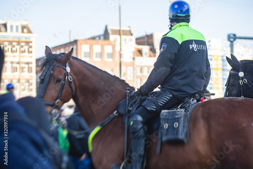 Dutch police squad formation and horseback riding mounted police back view with 