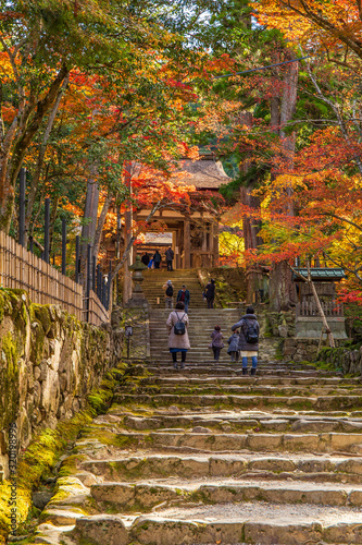 日本の秋 滋賀 湖東三山 西明寺⑧ 　Autumn in Japan, Shiga Prefecture, Koto-sanzan Saimyoji Temple #8 photo