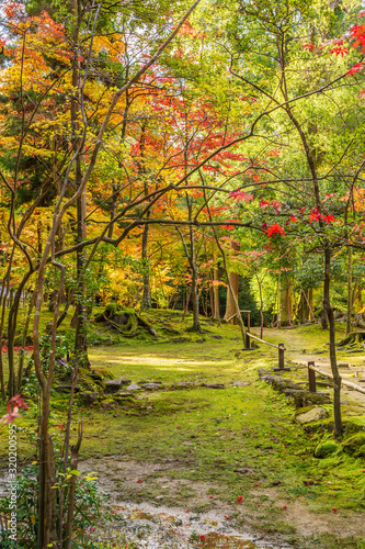 日本の秋 滋賀 湖東三山 西明寺⑭ 　Autumn in Japan, Shiga Prefecture, Koto-sanzan Saimyoji Temple #14 photo