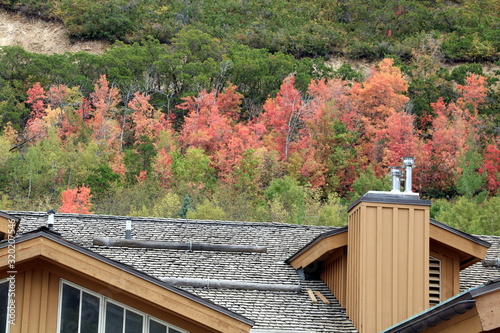 Parts of the forest show early fall colors as the Autumn season announces itself in early September in Park City, Utah.