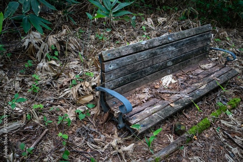 Fototapeta Naklejka Na Ścianę i Meble -  森の中にある古びたベンチの写真