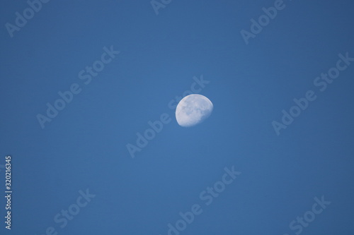 daytime moon in the sky