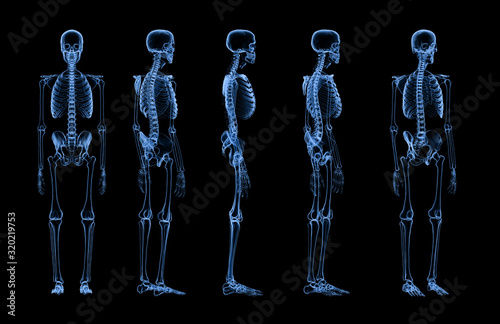 set of human skeleton x-ray photo