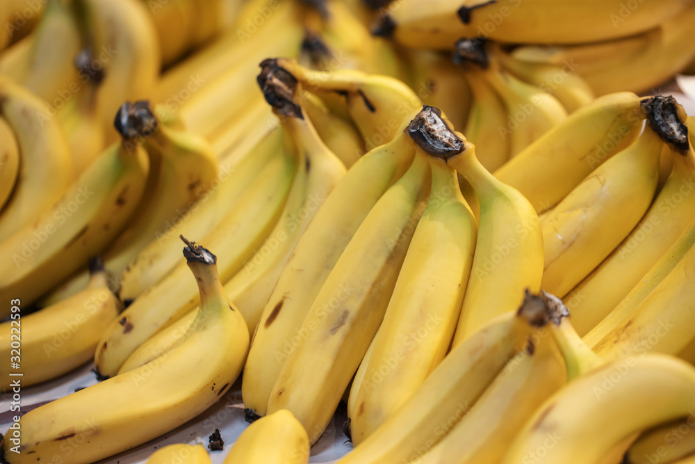 bunches of bananes on display in a fruit market bunches of bananes on display in a fruit market