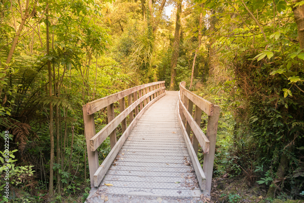 Wooden walking path leading to tropical rain forest, natural landscape background Wooden walking path leading to tropical rain forest, natural landscape background