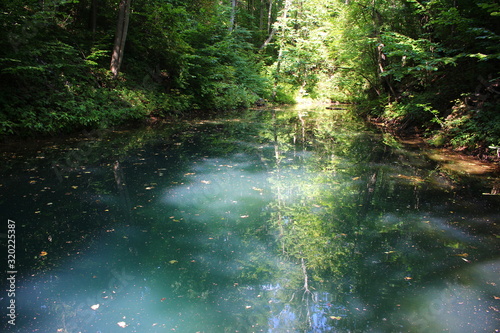Fototapeta Naklejka Na Ścianę i Meble -  Gloomy forest pond with green water. Pond in the woods