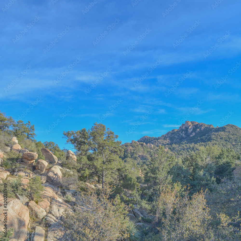 The wilderness of Tonto National Forest, Gila County, Arizona, USA The wilderness of Tonto National Forest, Gila County, Arizona, USA