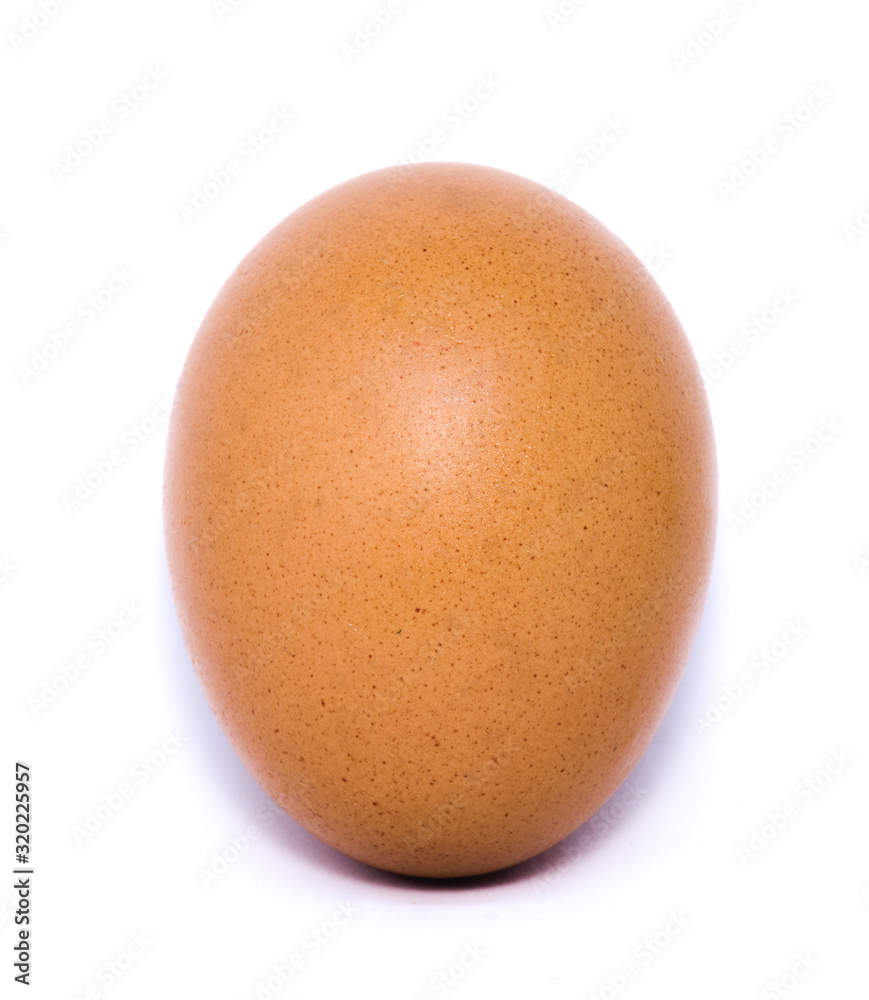 chicken egg isolated on white background. chicken egg isolated on white background.