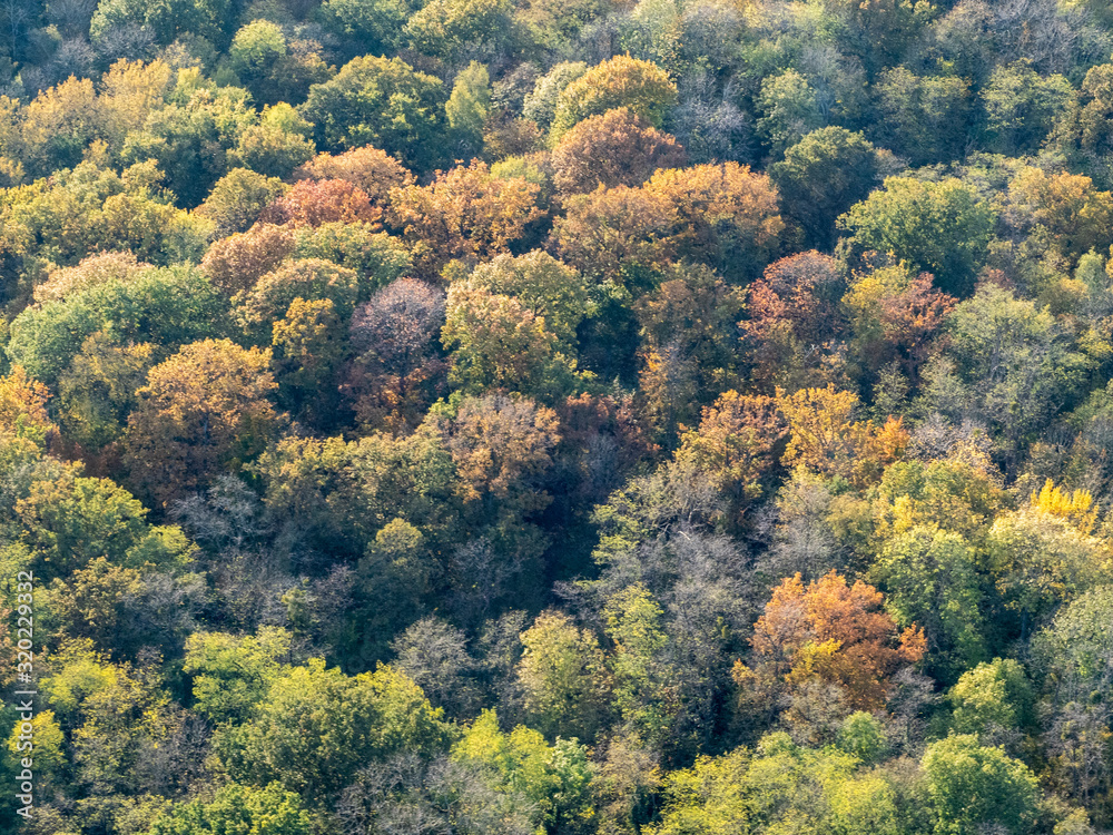 vue aérienne de la forêt à l'automne à Mézy-sur-Seine dans les Yvelines en France vue aérienne de la forêt à l'automne à Mézy-sur-Seine dans les Yvelines en France