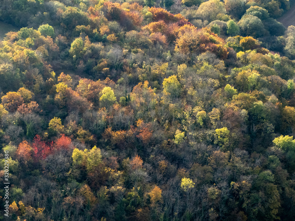 vue aérienne de la forêt à l'automne au Montcient dans les Yvelines en France