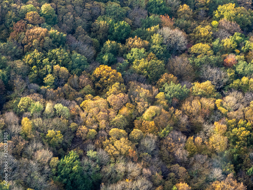 vue aérienne de la forêt à l'automne à Mézy-sur-Seine dans les Yvelines en France