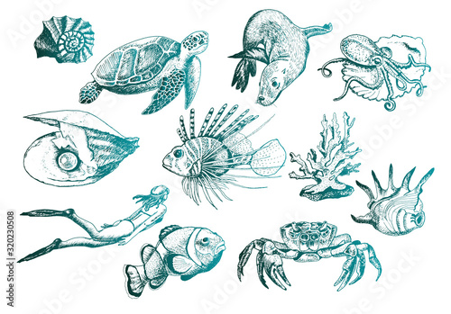 Ocean Life and Marine Creatures with Loggerhead Turtle and Shell Vector Set
