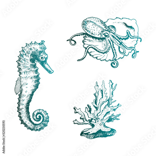 Ocean Life and Marine Creatures with Seahorse and Octopus Vector Set