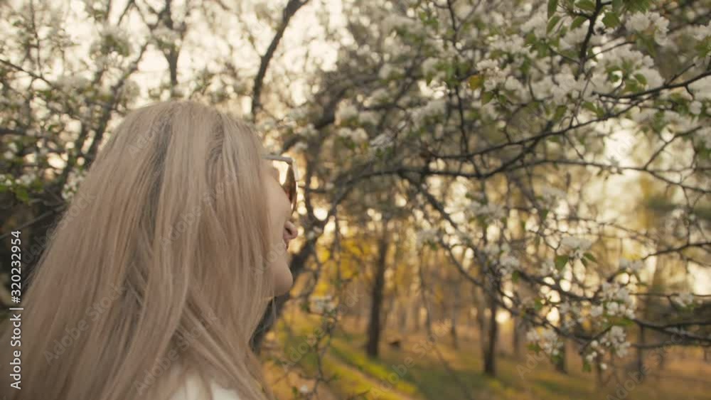 Attractive young woman in sweater, jeans is dance and spinning among blossom apple tree. Sunset, spring orchard and green field. Slow motion. Caucasian one girl, long fluttering hair. Sun glasses. Attractive young woman in sweater, jeans is dance and spinning among blossom apple tree. Sunset, spring orchard and green field. Slow motion. Caucasian one girl, long fluttering hair. Sun glasses.