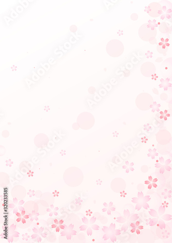 Background image of cherry blossom illustration