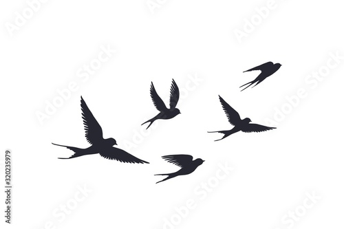 Flying birds silhouette on white background. Vector set of flock of swallows sign. Tattoo spring bird or swift birds in sky crowd fly.