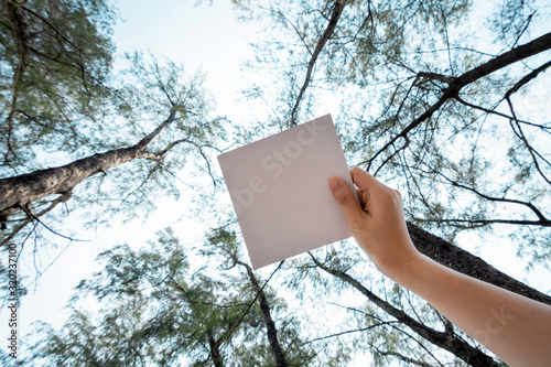 Low angle view of woman hand holding white paper with pine tree forest background. photo