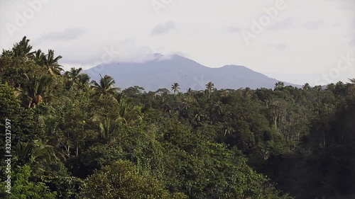 Bratan mountain view through the jungle, Bali island
