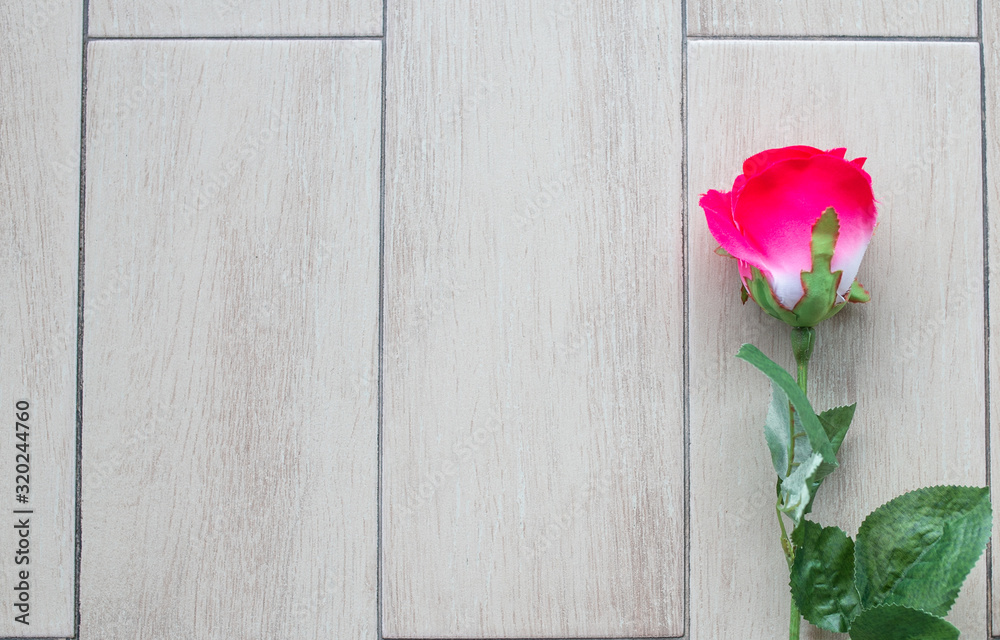 Rose on white wooden floor background with copy space. Rose on white wooden floor background with copy space.