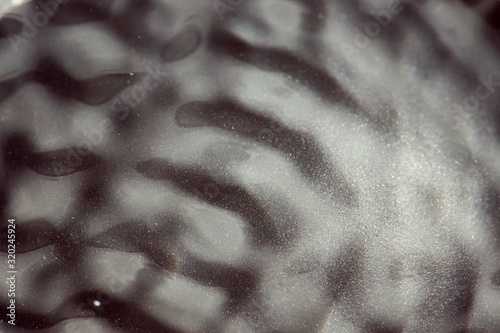 Abstract rippled background texture. Surface of water frozen in time, hi contrast lighting exposes the fascinating patterns created by soundwaves traveling directly through it. 