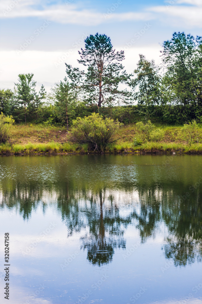 reflection of trees in water