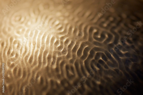 Abstract rippled background texture. Surface of water frozen in time, hi contrast lighting exposes the fascinating patterns created by soundwaves traveling directly through it. 